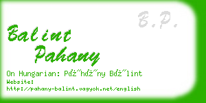 balint pahany business card